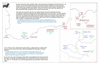 kin09 king george_thumb.gif